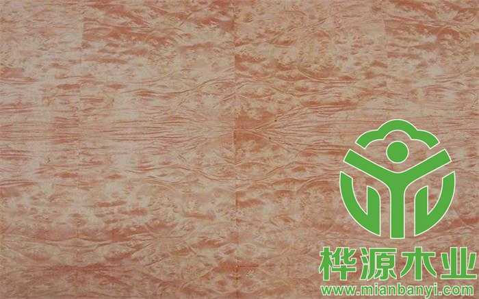 麥當娜樹榴2.jpg